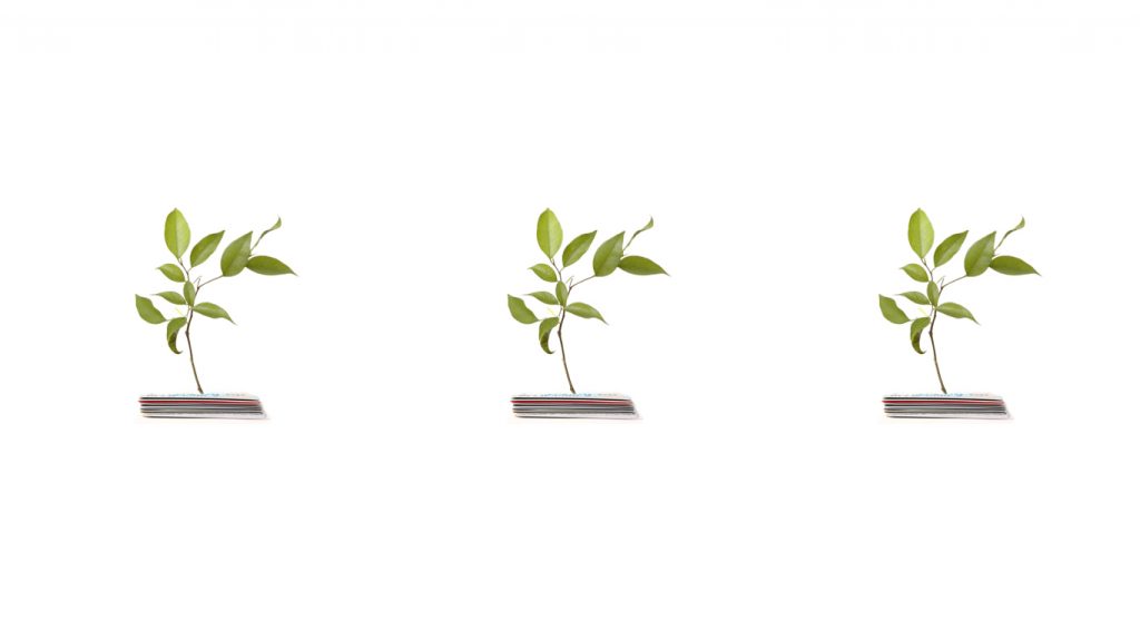 credit gard growth and compliance
